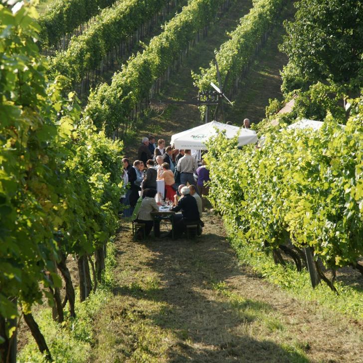 Weingut